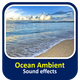 Ocean Ambient Sounds