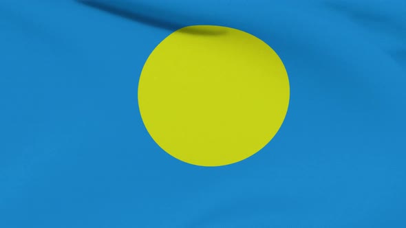 Flag Palau Patriotism National Freedom Seamless Loop