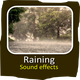 Raining Sounds - AudioJungle Item for Sale