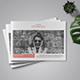Multipurpose Clean Indesign Brochure Template - GraphicRiver Item for Sale