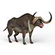 Game Ready Buffalo - 3DOcean Item for Sale