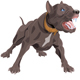 Dog Barking Loop