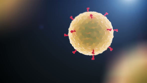 Corona Virus or Other Dangerous Cell Swimming Inside Organism