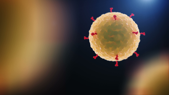 Visualisation of Corona Virus 2019-nCoV in Microscope