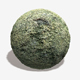 Mould and Moss Seamless Texture 2 - 3DOcean Item for Sale