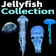 Jellyfish Collection - VideoHive Item for Sale