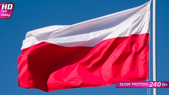 Polish Flag Wiggles The Wind alt