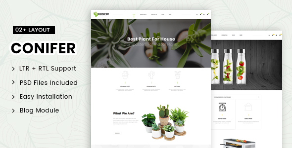 Conifer - Multipurpose3.x Responsive Theme