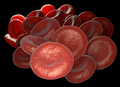 Bunch of red blood cells - PhotoDune Item for Sale