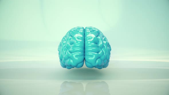 Brain Rotating 4K alt