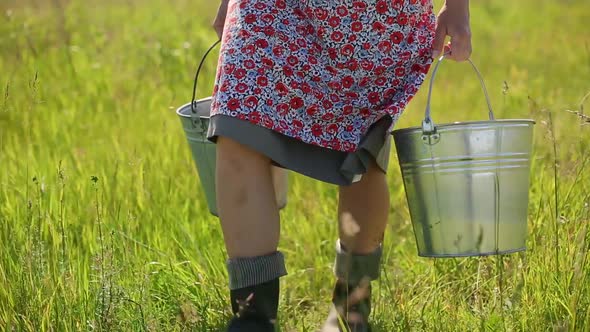 Closeup of a Milkmaid Carrying Buckets and Walking Through Tall Grass