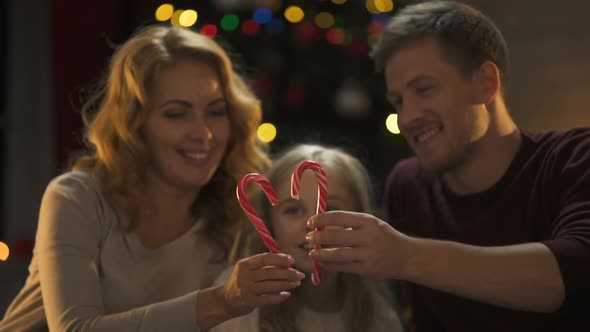 Sweet Family Holding Candies Near Sparkling Tree and Lights, X-Mas Traditions