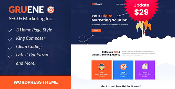 Gruene - Digital Marketing WordPress Theme