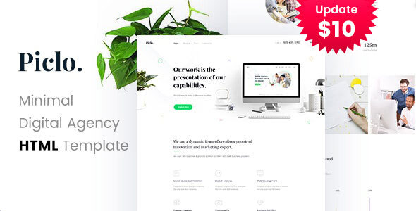 Piclo. - Minimal Digital Agency HTML Template