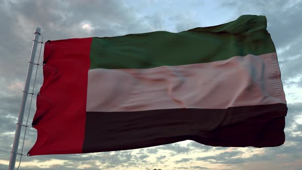 Flag of United Arab Emirates Waving in the Wind Against Deep Beautiful Sky at Sunset