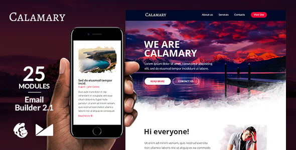 Calamary Responsive Email Template + Online Emailbuilder 2.1