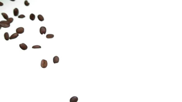 Roasted Coffee Beans are Falling Down on a White Background