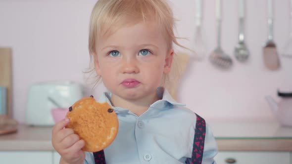 Close-up Portrait of Charming Little Boy Eating Sweet Biscuit. Cute Blond Caucasian Child Chewing