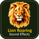 Lion Roaring - AudioJungle Item for Sale