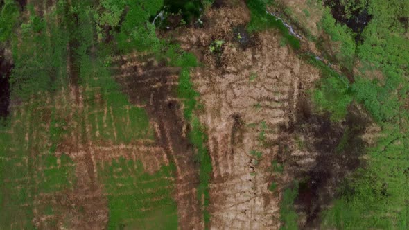 Aerial view dry grass in field