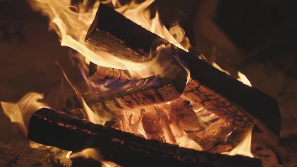 Burn Fire with Wood on Beach Camp