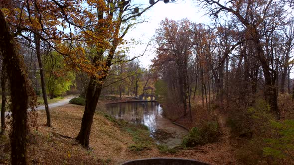 Aerial Drone View Flight Through Tree Branches in Park with Lakes Architecture