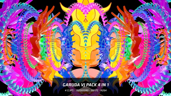 Garuda Wing Vj Pack 4 in 1