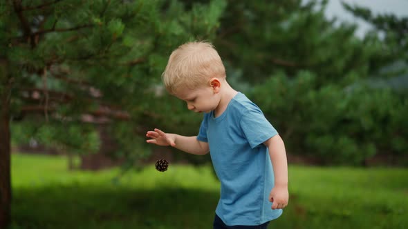 Inquisitive Toddler Boy Throws Down Pine Cone in Hotel Yard