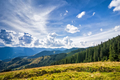 Amazing sunny landscape with pine tree highland forest - PhotoDune Item for Sale