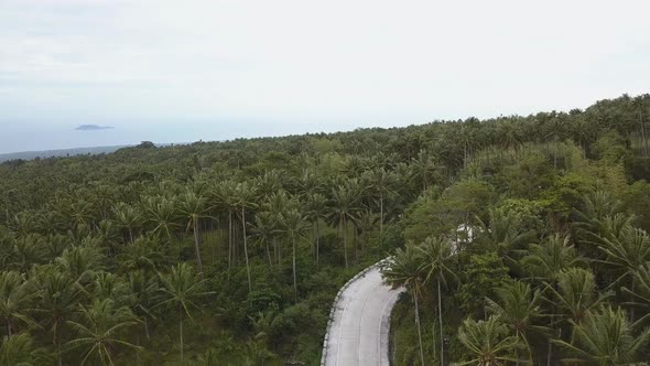 Man Riding Scooter Through Jungles