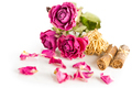 Dry roses and herbs on white. Shallow depth of field - PhotoDune Item for Sale