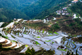 Village houses near rice terraces fields. Ifugao province. Banaue, Philippines - PhotoDune Item for Sale
