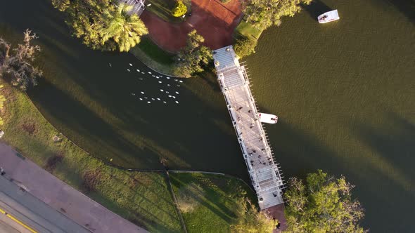 Aerial top down shot of Palermo Lake in Buenos Aires, with people on bridge, boat and ducks during s