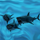 Great White Shark - 3DOcean Item for Sale