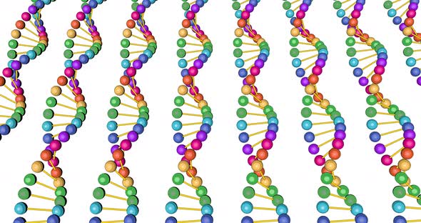 Color Visualization of DNA Analysis Isolated on White Background 3d Rotation Animation for Montage