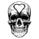 Skull Skeleton Head Anatomy Shirt Tattoo Cover - GraphicRiver Item for Sale