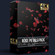 Rose Petals Pack - VideoHive Item for Sale
