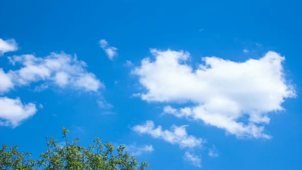 Blue Sky with White Clouds Timelapse