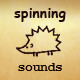 Spin