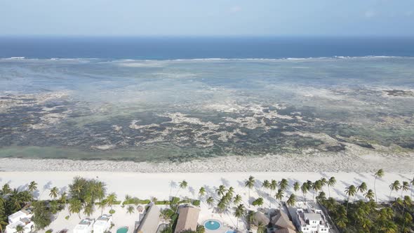 Shore of Zanzibar Island Tanzania at Low Tide