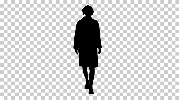Silhouette Walking female doctor, Alpha Channel alt