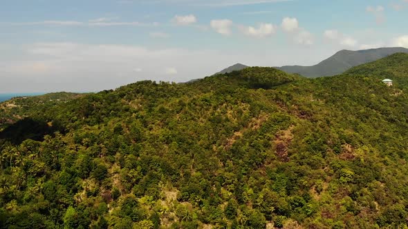 Fantastic Drone View of Green Jungle on Mountain Ridge