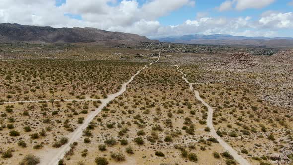 Aerial View of Endless Desert Straight Dusty Asphalt Road in Joshua Tree Park. USA