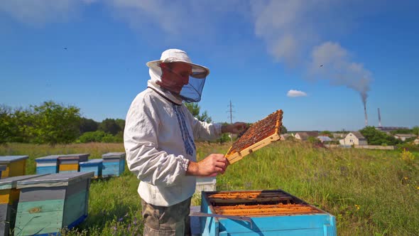 Beekeeper near the hives in nature