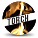Fire Torch Burning - VideoHive Item for Sale
