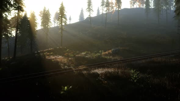 National Forest Recreation Area and the Fog with Railway