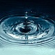 Water Drops