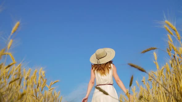 Positive Redhead Girl Walking on Wheat Field in Fair Weather in Summer