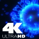 3D background with coronavirus 4K - VideoHive Item for Sale
