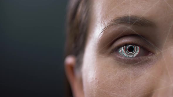 Animation 3d Recognition Scanning of the Face Eye of Man or Woman
